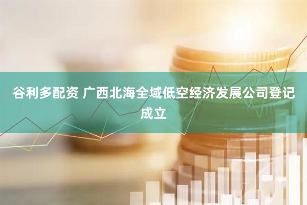 谷利多配资 广西北海全域低空经济发展公司登记成立