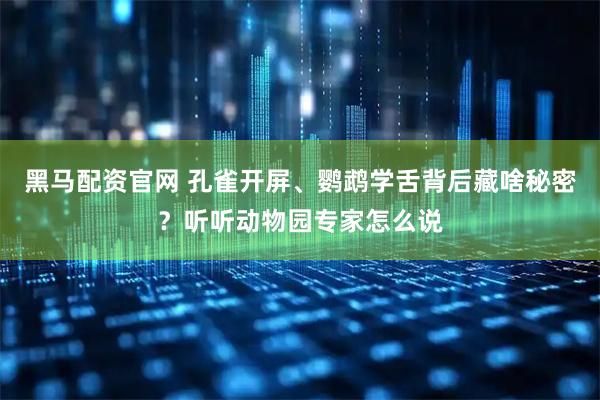 黑马配资官网 孔雀开屏、鹦鹉学舌背后藏啥秘密？听听动物园专家怎么说