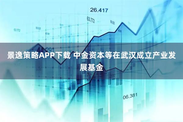 景逸策略APP下载 中金资本等在武汉成立产业发展基金