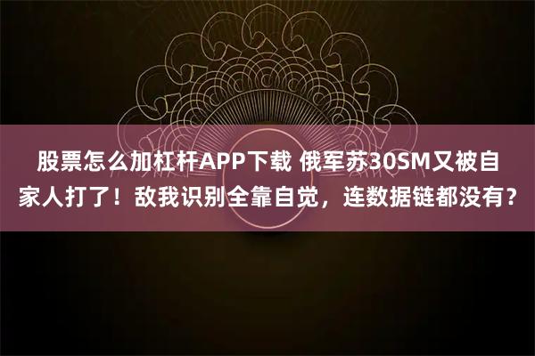 股票怎么加杠杆APP下载 俄军苏30SM又被自家人打了！敌我识别全靠自觉，连数据链都没有？