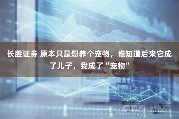 长胜证券 原本只是想养个宠物，谁知道后来它成了儿子，我成了“宠物”