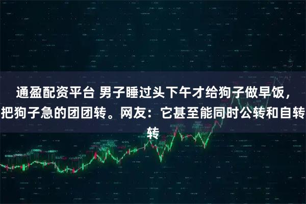 通盈配资平台 男子睡过头下午才给狗子做早饭，把狗子急的团团转。网友：它甚至能同时公转和自转