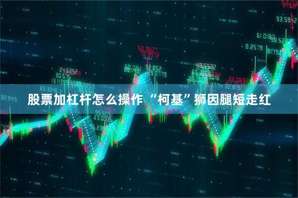 股票加杠杆怎么操作 “柯基”狮因腿短走红