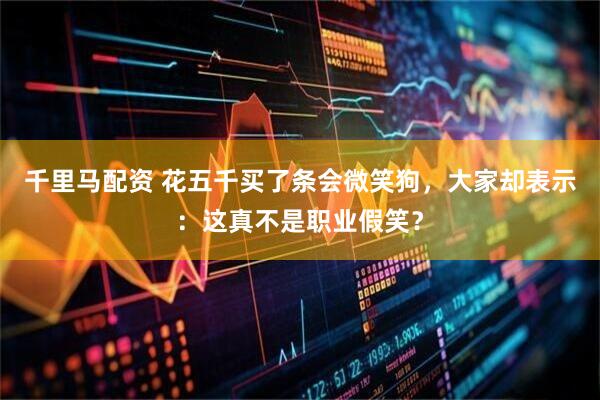 千里马配资 花五千买了条会微笑狗，大家却表示：这真不是职业假笑？