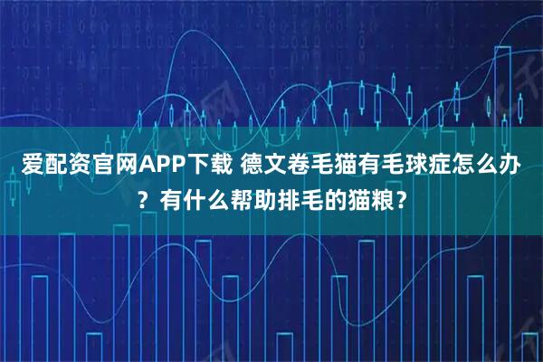 爱配资官网APP下载 德文卷毛猫有毛球症怎么办？有什么帮助排毛的猫粮？