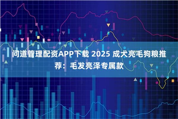 问道管理配资APP下载 2025 成犬亮毛狗粮推荐：毛发亮泽专属款