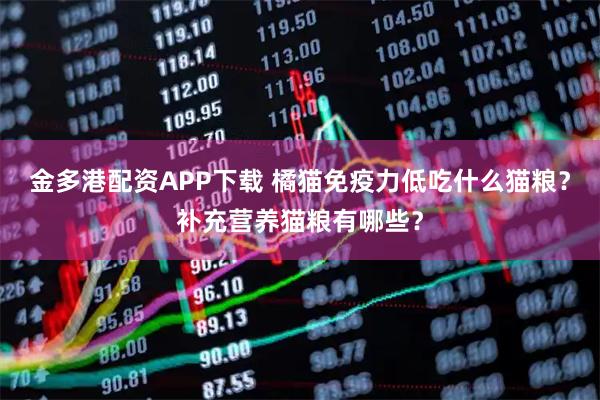 金多港配资APP下载 橘猫免疫力低吃什么猫粮？补充营养猫粮有哪些？