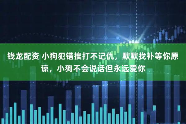 钱龙配资 小狗犯错挨打不记仇，默默找补等你原谅，小狗不会说话但永远爱你