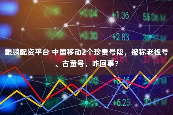鲲鹏配资平台 中国移动2个珍贵号段，被称老板号、古董号，咋回事？