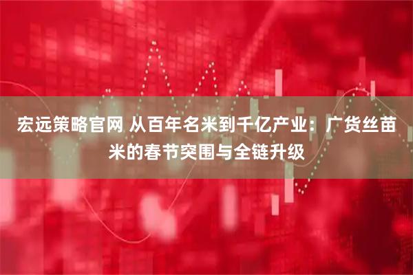 宏远策略官网 从百年名米到千亿产业：广货丝苗米的春节突围与全链升级